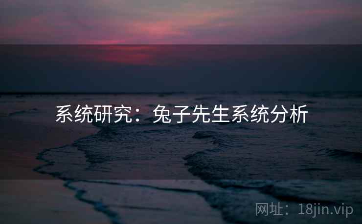 系统研究：兔子先生系统分析