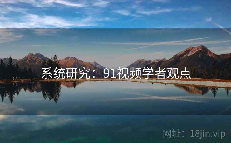 系统研究：91视频学者观点