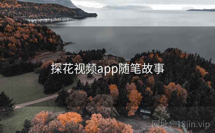 探花视频app随笔故事