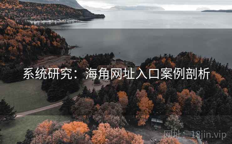 系统研究：海角网址入口案例剖析