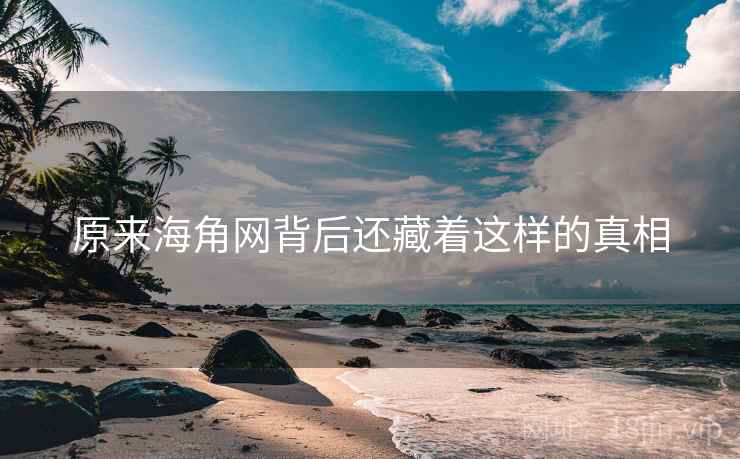 原来海角网背后还藏着这样的真相